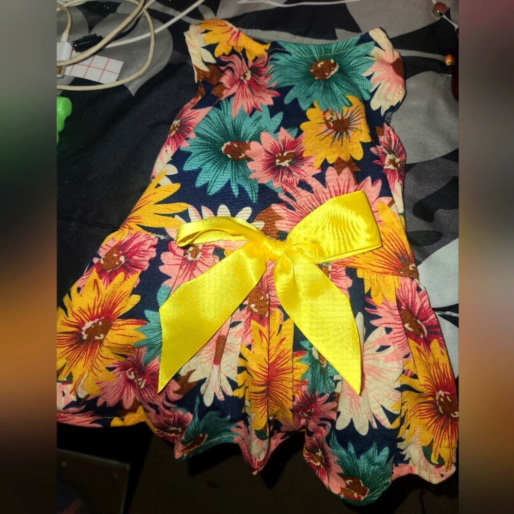 Nwt, new, Medium Dog Dress